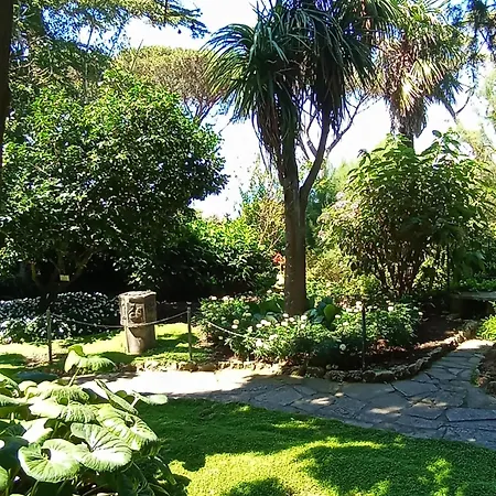 L'archetto Romantic In The Center Of * Anacapri (Isola di Capri)